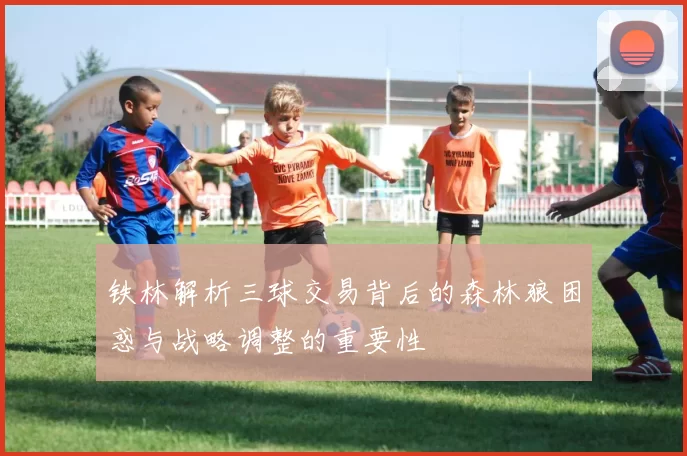 铁林解析三球交易背后的森林狼困惑与战略调整的重要性